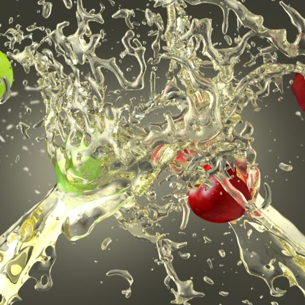 Cras feugiat semper justo